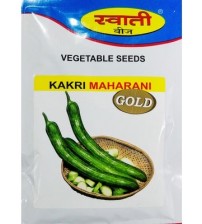 Cucumber Maharani Gold